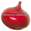 Onion Seeds F1 Hybrid